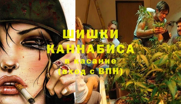 Альфа ПВП Ладушкин