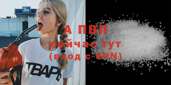 ПСИЛОЦИБИНОВЫЕ ГРИБЫ Липки
