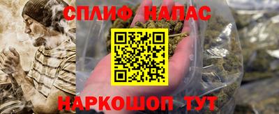 дурь Камышлов
