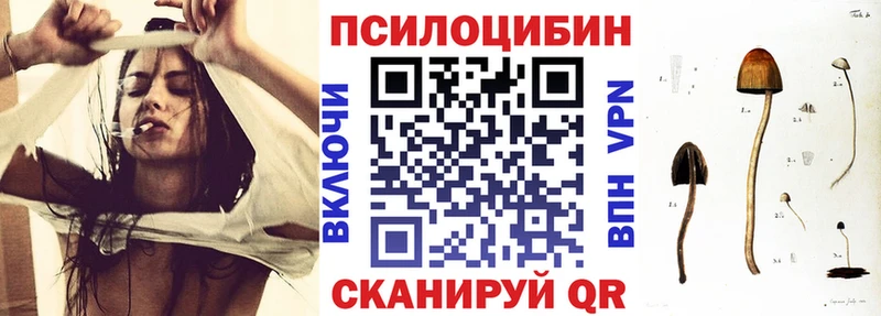 Галлюциногенные грибы Psilocybe Усть-Илимск