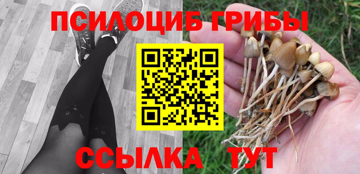 Галлюциногенные грибы Cubensis  купить закладку  Усть-Илимск 