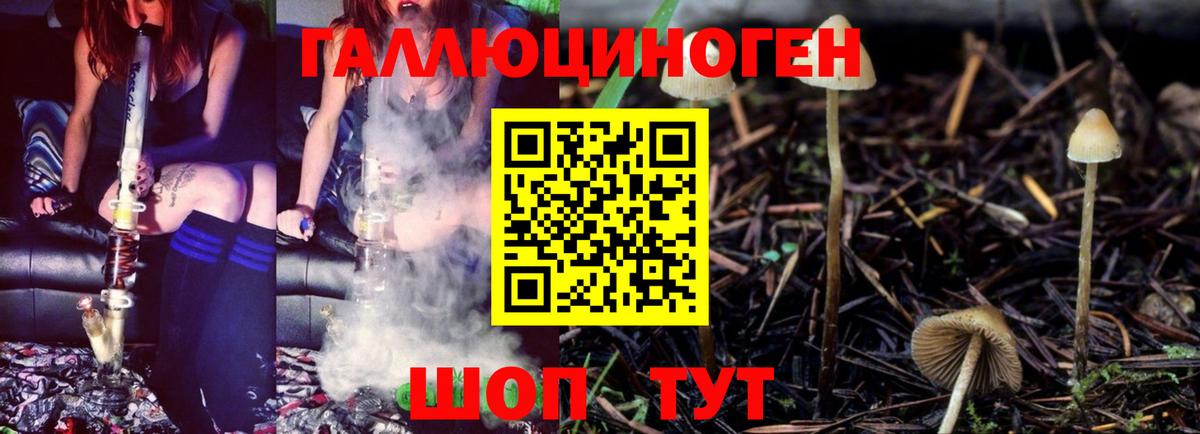 Псилоцибиновые грибы Psilocybine cubensis Усть-Илимск